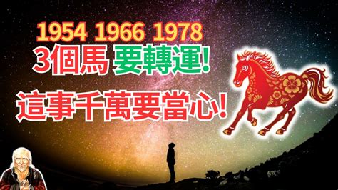 1978生肖馬|【1978 五行】1978生肖屬馬：五行運勢全解析！